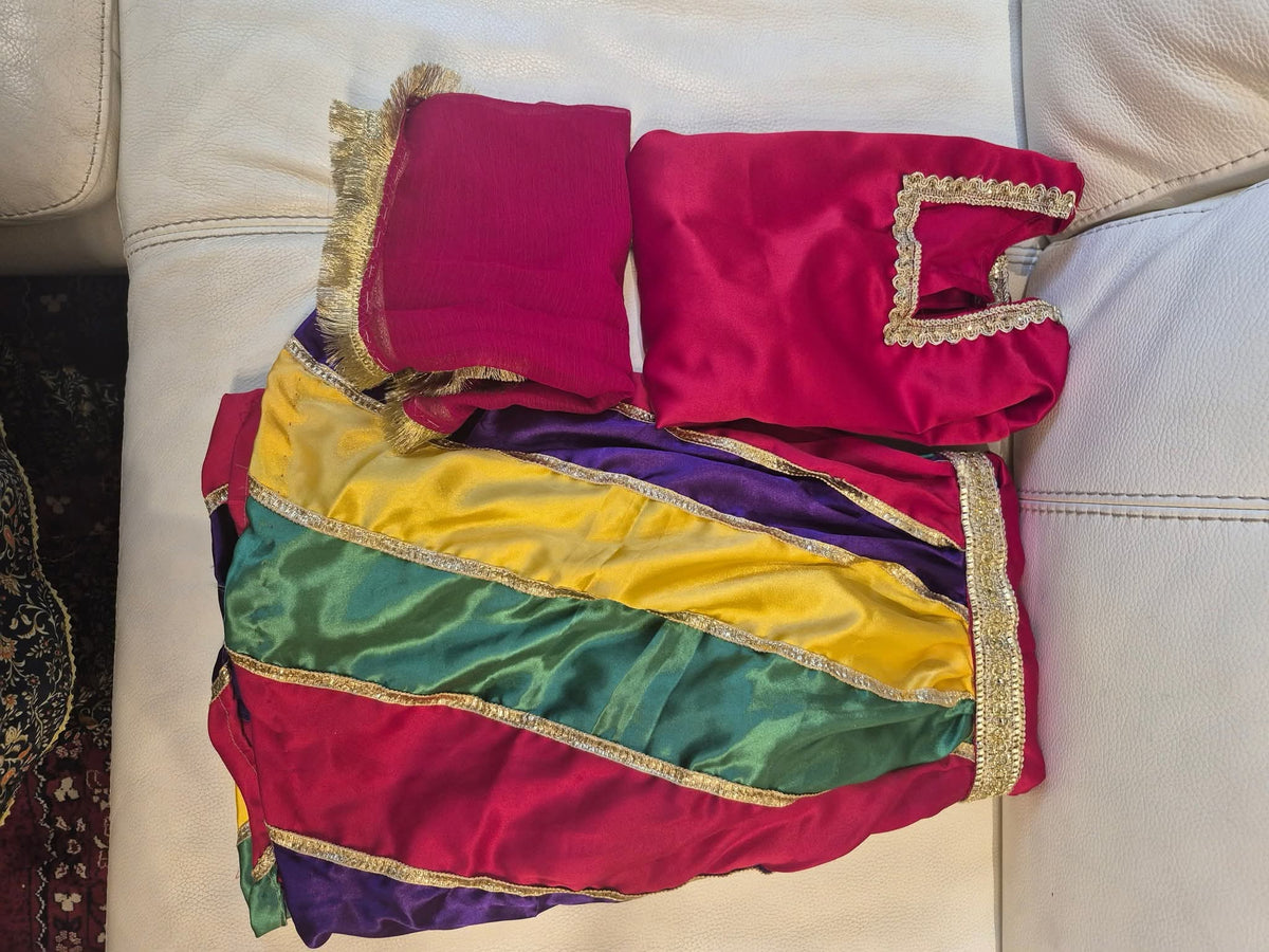 Jewel Tone Panel Ghagra Choli